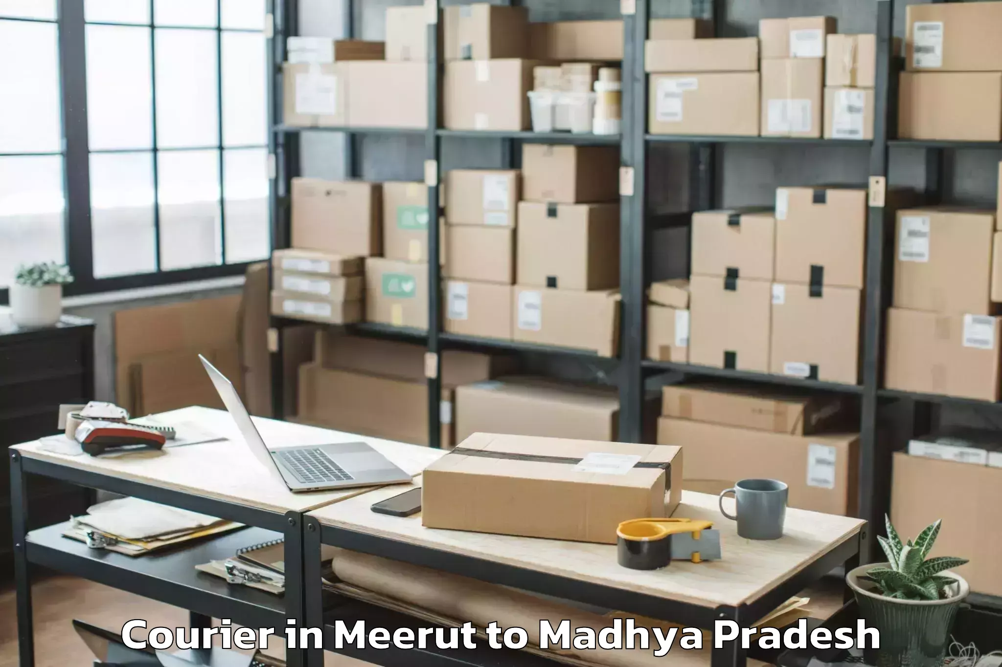 Easy Meerut to Karera Courier Booking